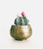 7. Sample affiliate product