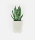 8. Countdown product