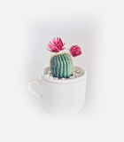 8. Countdown product