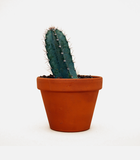 Dummy text for title