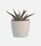 11. Product with video