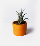 11. Product with video