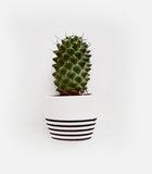 10. This is the large title