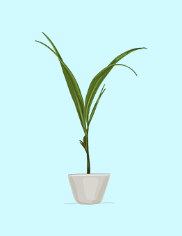 Double Banner Images