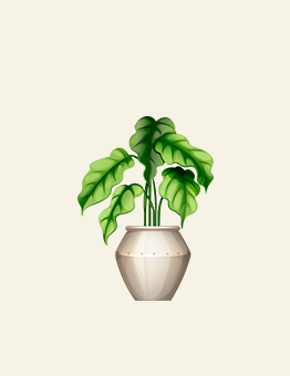 Double Banner Images